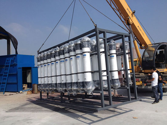 <img src=”d8.jpg” alt=“”